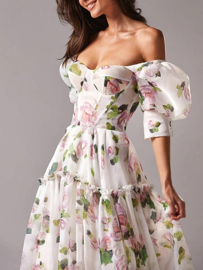 Voluminous Sheer Sleeves Dress